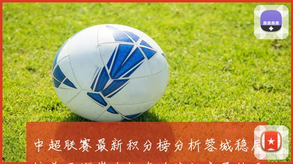 中超联赛最新积分榜分析蓉城稳居榜首西海岸奋起直追津门虎亟待反弹