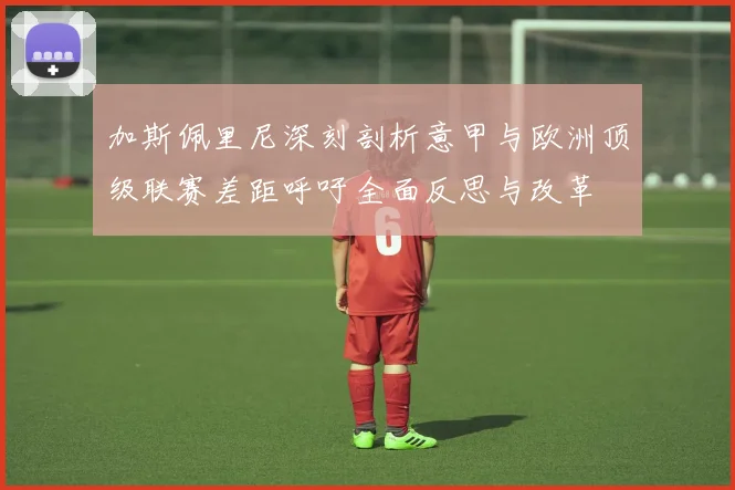加斯佩里尼深刻剖析意甲与欧洲顶级联赛差距呼吁全面反思与改革